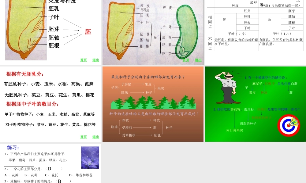 八年级生物：第三节 果实和种子的形成课件人教版 课件