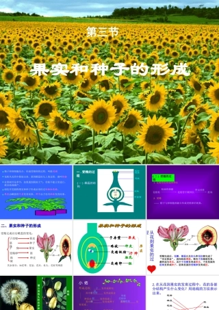 八年级生物：第三节 果实和种子的形成课件人教版 课件