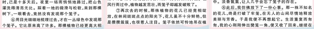 文下册 第五单元 19 外国诗二首习题课件 新人教版 课件