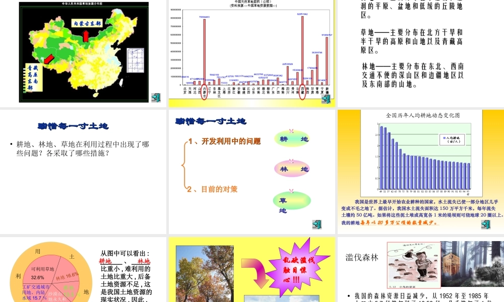 八年级地理 中国的土地资源课件 湘教版 课件