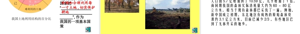 八年级地理 中国的土地资源课件 湘教版 课件