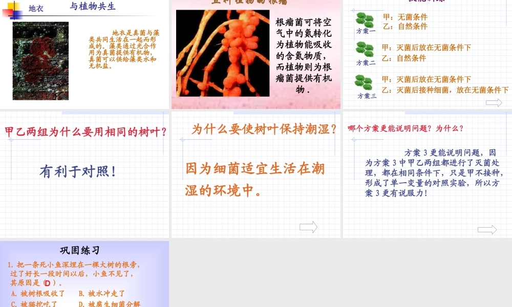 九年级生物细菌和真菌在自然界的分布 试题