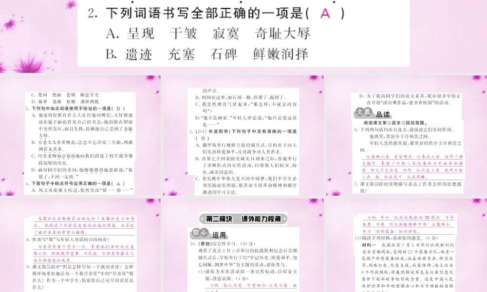 九年级语文下册 3 废墟的召唤课件 语文版 课件
