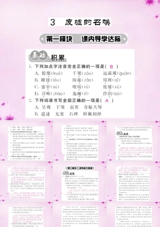 九年级语文下册 3 废墟的召唤课件 语文版 课件
