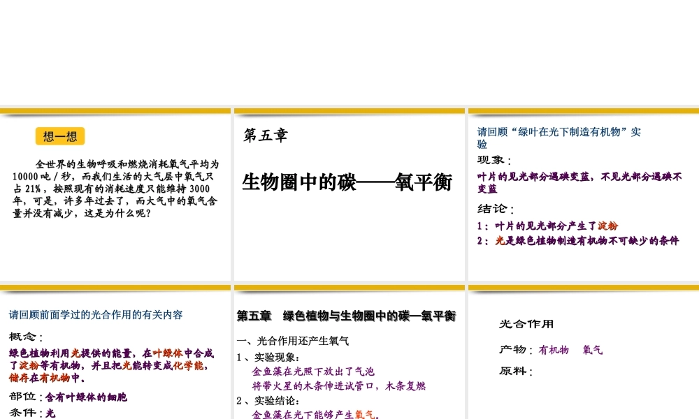 七年级生物上册 3.5绿色植物与生物圈中的碳-氧平衡课件 人教新课标版 课件