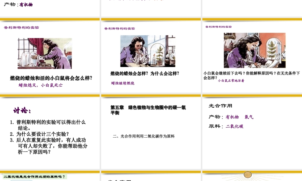 七年级生物上册 3.5绿色植物与生物圈中的碳-氧平衡课件 人教新课标版 课件