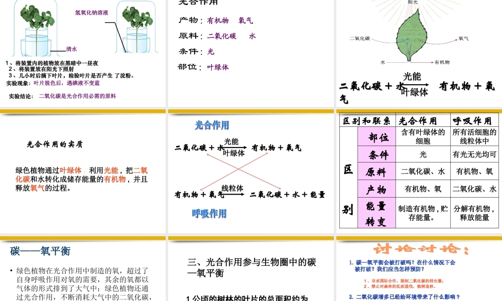 七年级生物上册 3.5绿色植物与生物圈中的碳-氧平衡课件 人教新课标版 课件