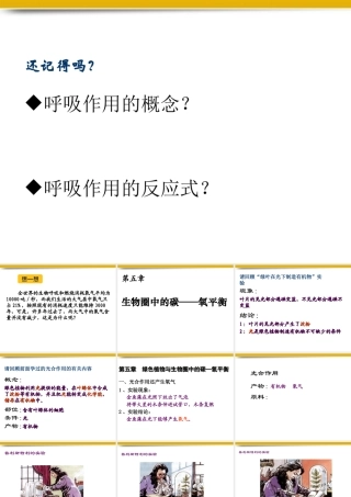 七年级生物上册 3.5绿色植物与生物圈中的碳-氧平衡课件 人教新课标版 课件