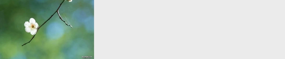 新课标高一数学平面向量数量积的坐标表示教学课件