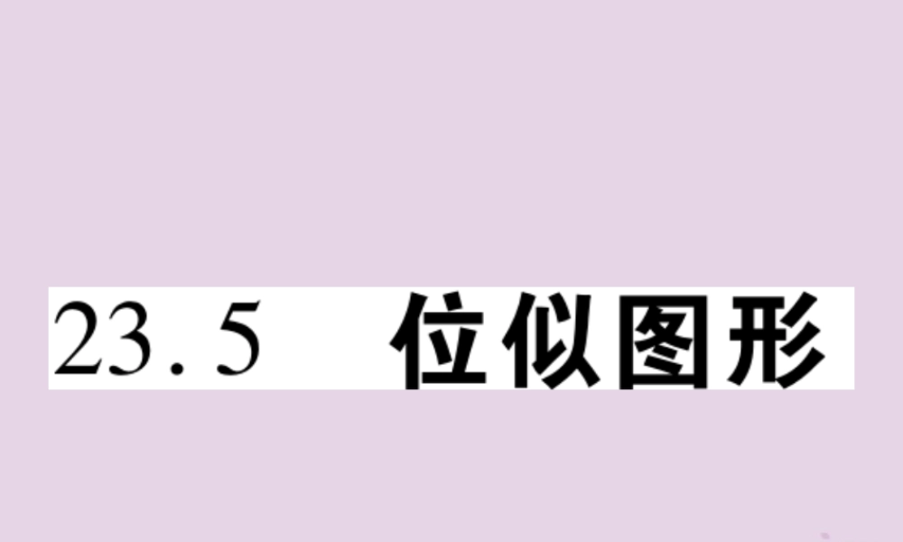 九年级数学上册 第23章 图形的相似 235 位似图形习题课件 (新版)华东师大版 课件