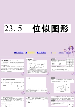 九年级数学上册 第23章 图形的相似 235 位似图形习题课件 (新版)华东师大版 课件