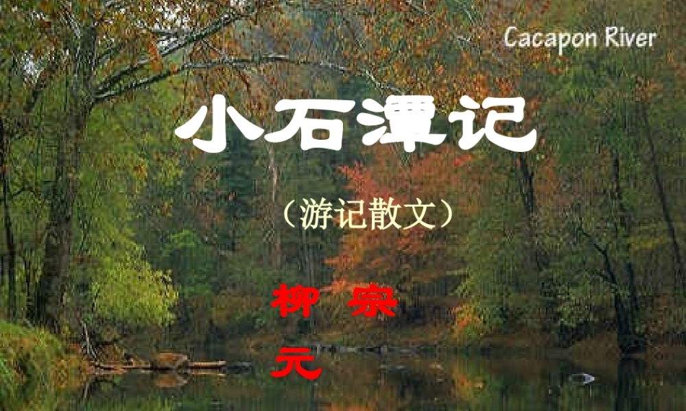 八年级语文下册(小石潭记)课件 鄂教版 课件