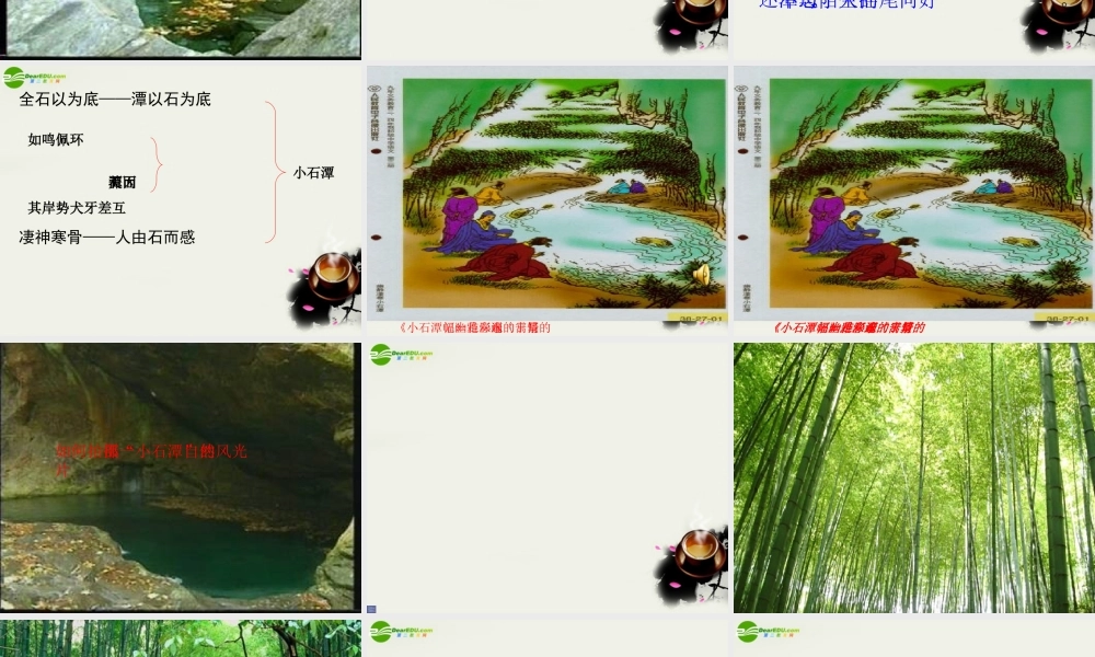 八年级语文下册(小石潭记)课件 鄂教版 课件