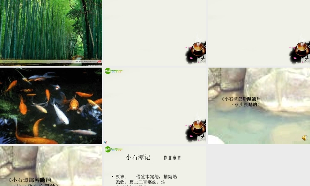 八年级语文下册(小石潭记)课件 鄂教版 课件