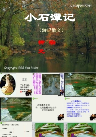 八年级语文下册(小石潭记)课件 鄂教版 课件