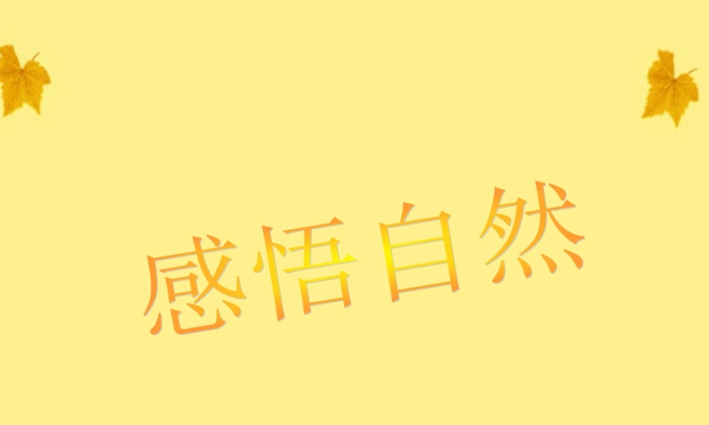 初中语文 写作(感悟自然)课件