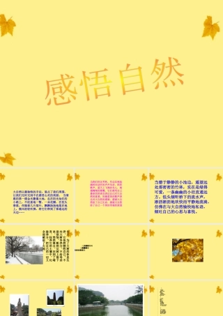 初中语文 写作(感悟自然)课件