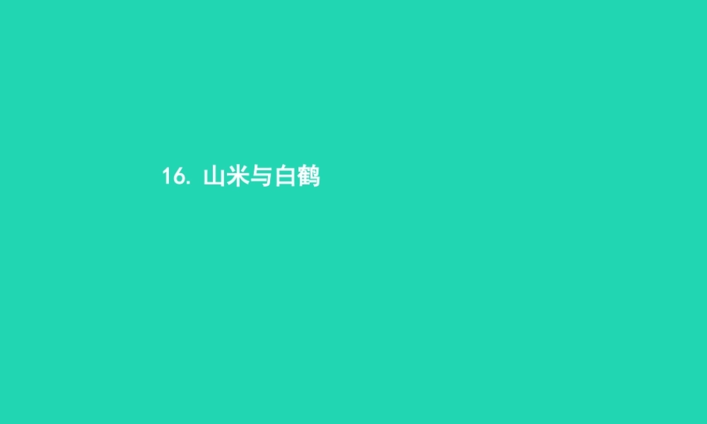 八年级语文上册 第四单元 16 山米与白鹤课件 语文版 课件