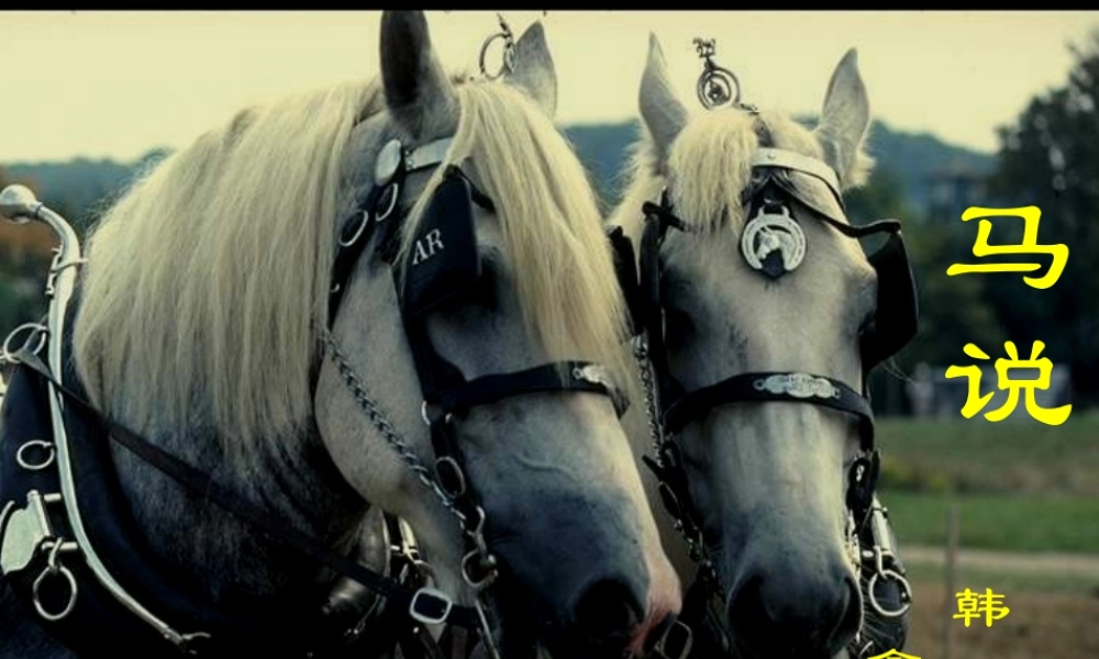 八年级语文下册 第4课(马说)课件 苏教版 课件