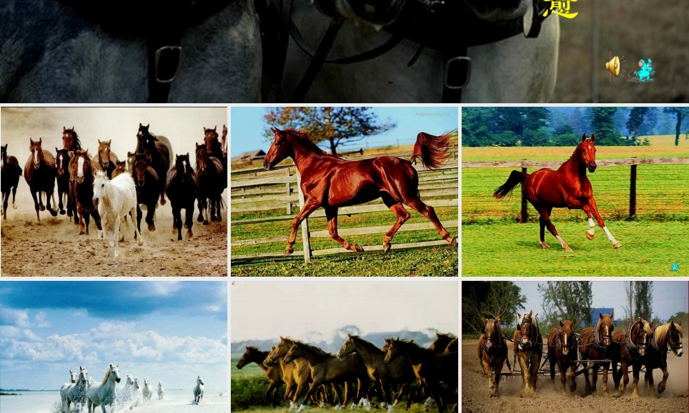 八年级语文下册 第4课(马说)课件 苏教版 课件