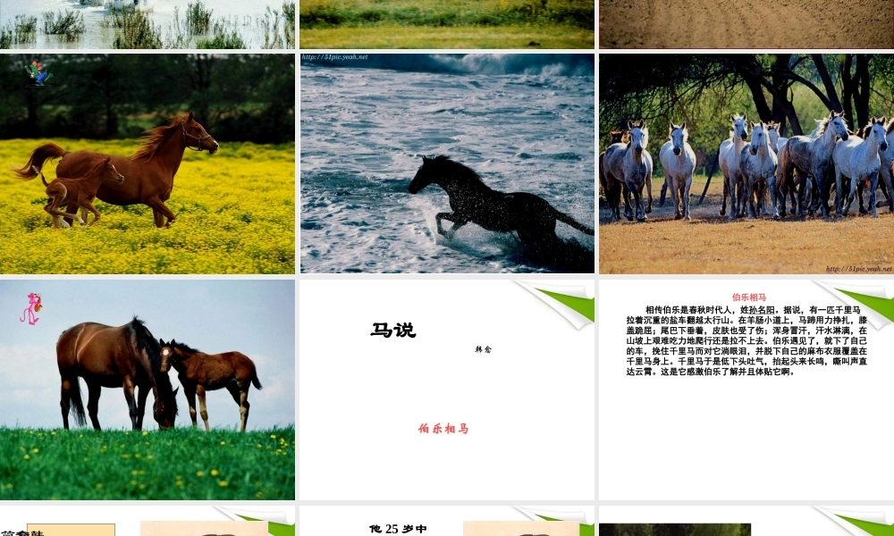 八年级语文下册 第4课(马说)课件 苏教版 课件