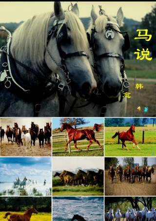 八年级语文下册 第4课(马说)课件 苏教版 课件