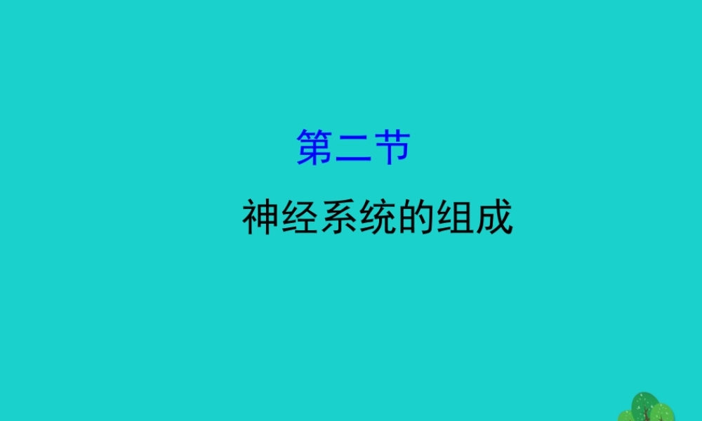 七年级生物下册 4.6.2神经系统的组成习题课件(新版)新人教版 课件