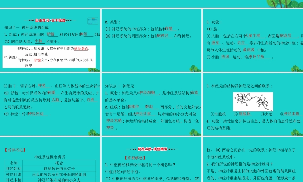 七年级生物下册 4.6.2神经系统的组成习题课件(新版)新人教版 课件