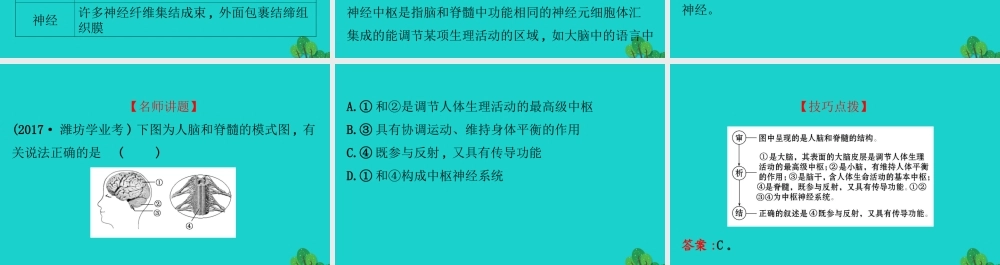 七年级生物下册 4.6.2神经系统的组成习题课件(新版)新人教版 课件
