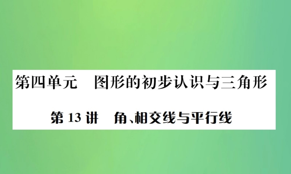 中考数学复习 第四单元 图形的初步认识与三角形 第13讲 角、相交线与平行线课件