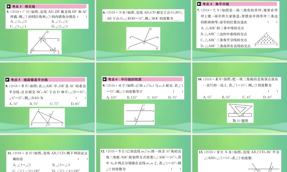 中考数学复习 第四单元 图形的初步认识与三角形 第13讲 角、相交线与平行线课件