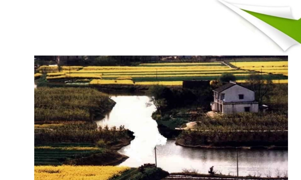 七年级语文下册(桥之美)课件 鲁教版 课件