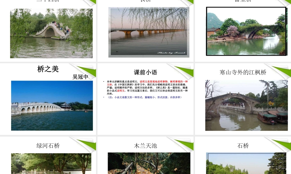 七年级语文下册(桥之美)课件 鲁教版 课件