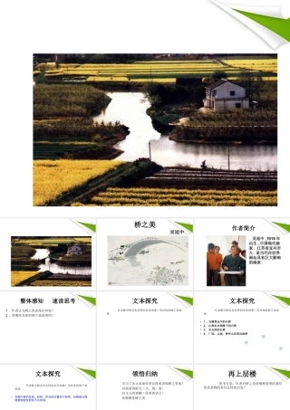 七年级语文下册(桥之美)课件 鲁教版 课件