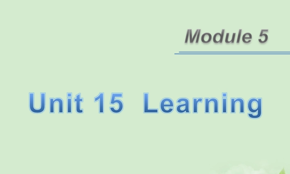 广东省高考英语一轮总复习 Module5 unit 15-2 Learning课件 北师大版 新课标 课件