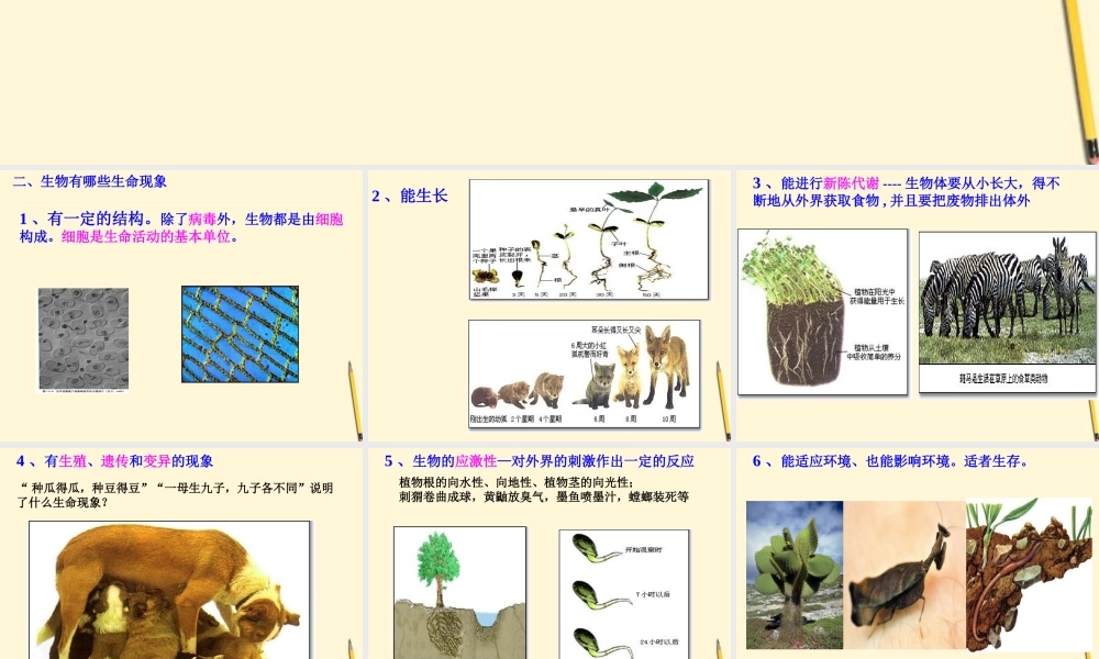 七年级生物上册(我们周围的生物)课件 苏教版 课件