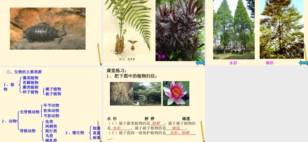 七年级生物上册(我们周围的生物)课件 苏教版 课件