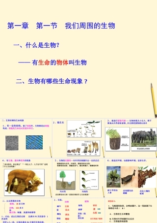 七年级生物上册(我们周围的生物)课件 苏教版 课件
