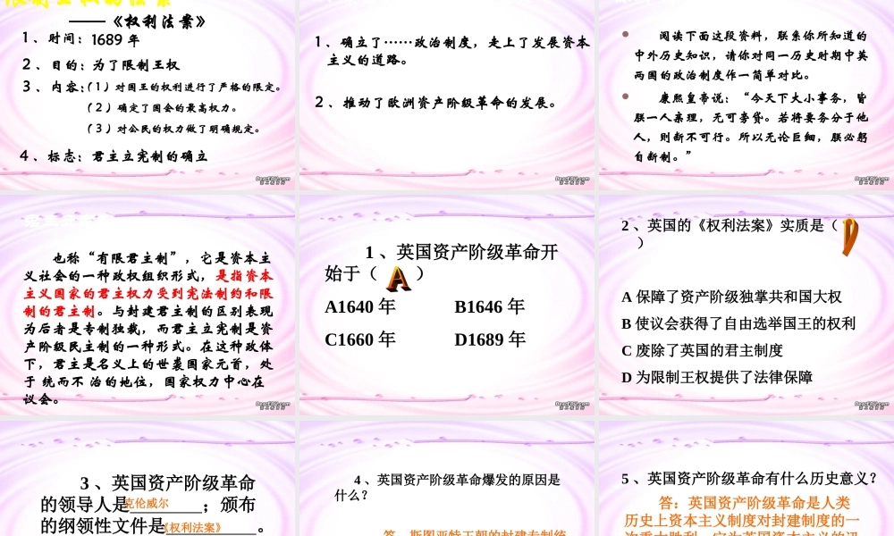 九年级历史第四单元第十一课课件示例 课件