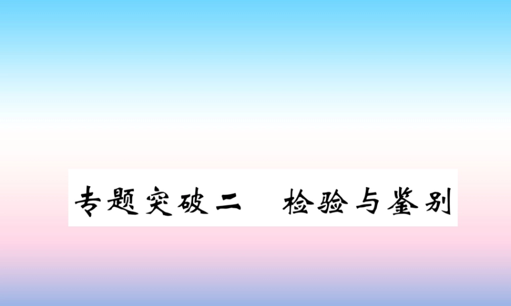 中考化学复习 第2编 重点专题突破篇 专题突破2 检验与鉴别(精讲)课件