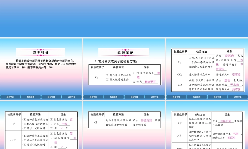 中考化学复习 第2编 重点专题突破篇 专题突破2 检验与鉴别(精讲)课件