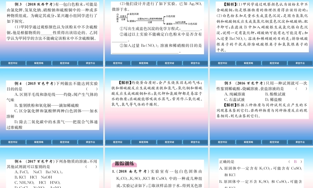 中考化学复习 第2编 重点专题突破篇 专题突破2 检验与鉴别(精讲)课件