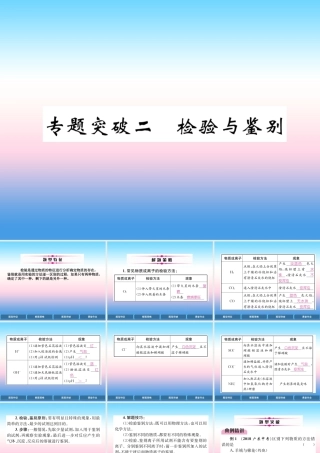 中考化学复习 第2编 重点专题突破篇 专题突破2 检验与鉴别(精讲)课件