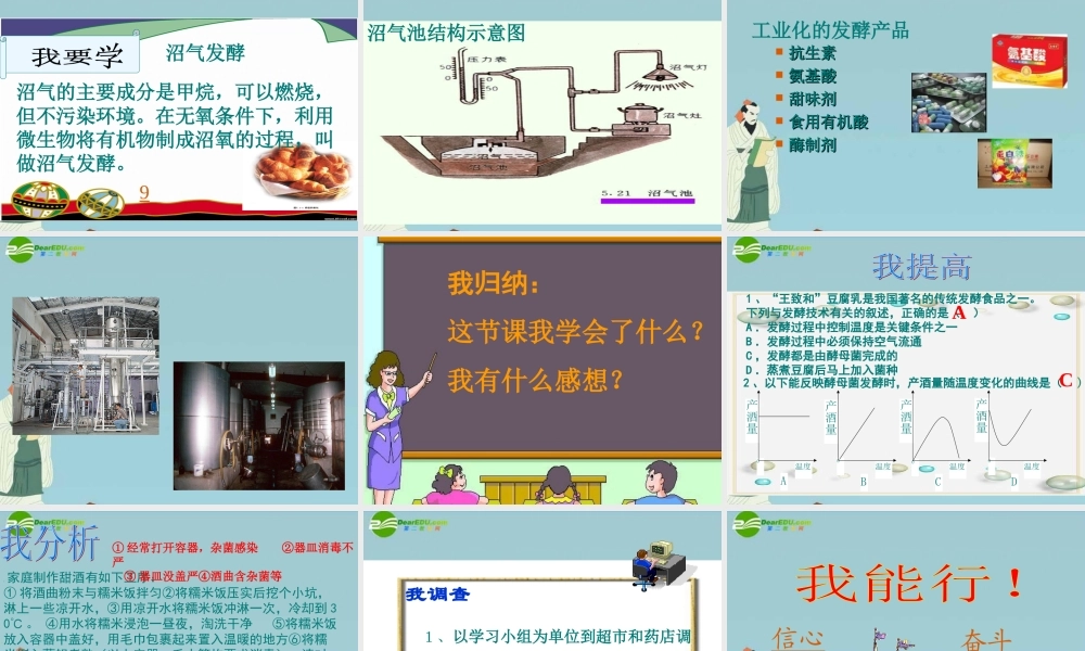 八年级生物下册 第25章第1节发酵技术 课件 北师大版 课件