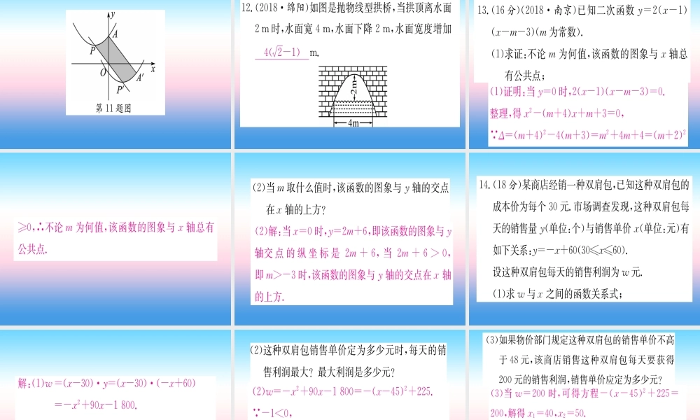 九年级数学下册 寒假作业(二)二次函数课堂导练课件(含中考真题)(新版)新人教版 课件