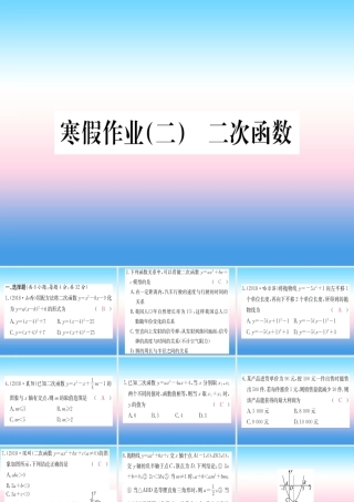 九年级数学下册 寒假作业(二)二次函数课堂导练课件(含中考真题)(新版)新人教版 课件