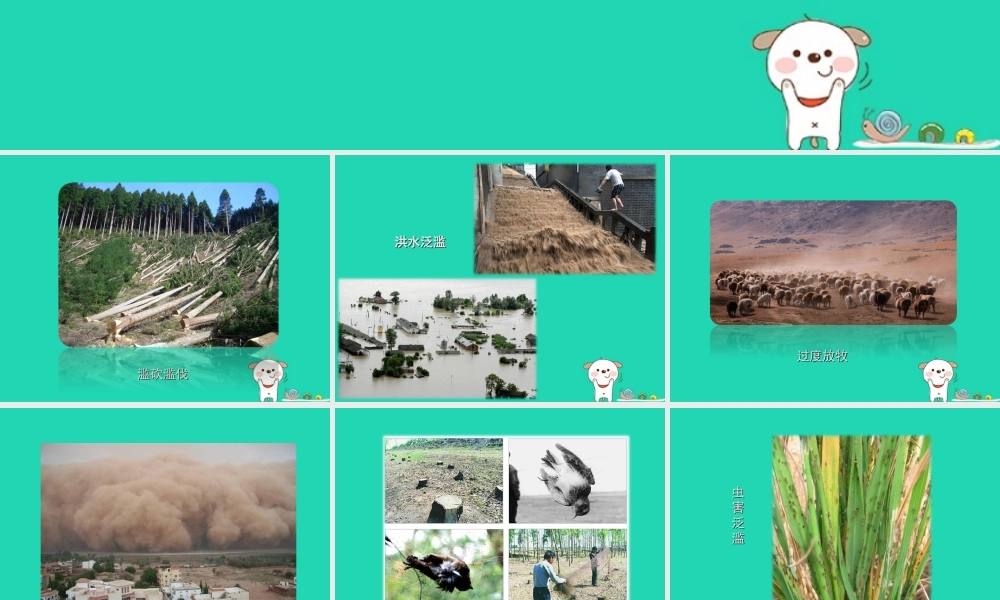 七年级生物下册 4.7.1(分析人类活动对生态环境的影响)人类对生态环境的破坏素材 (新版)新人教版 素材