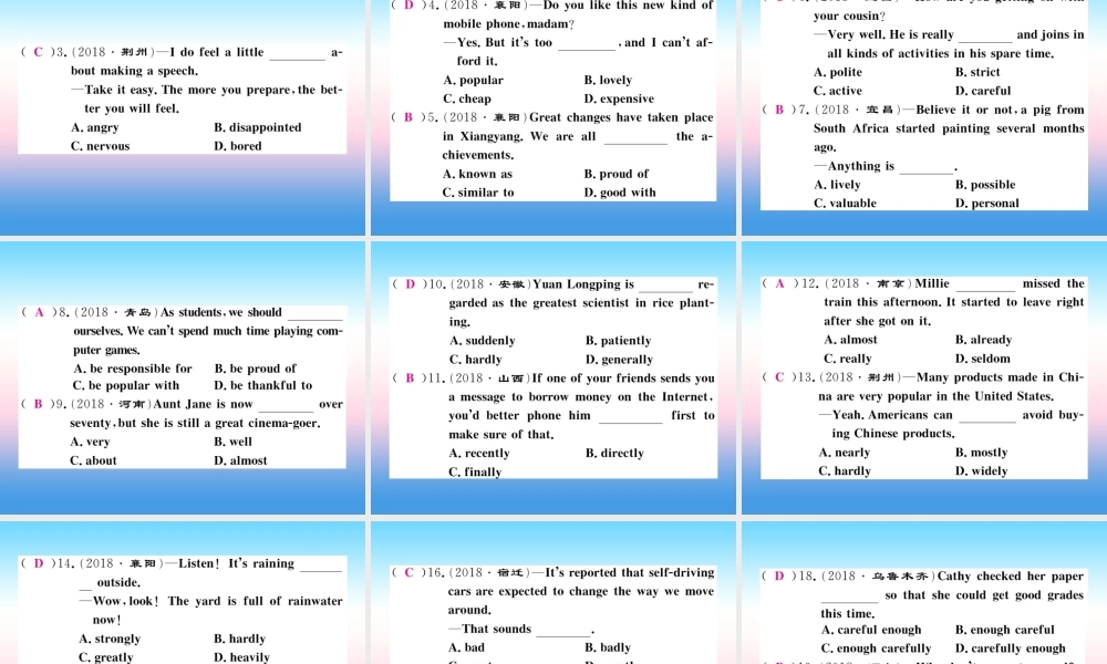 九年级英语全册 专题复习 专题一 单项选择(5 6)习题课件 (新版)人教新目标版 课件