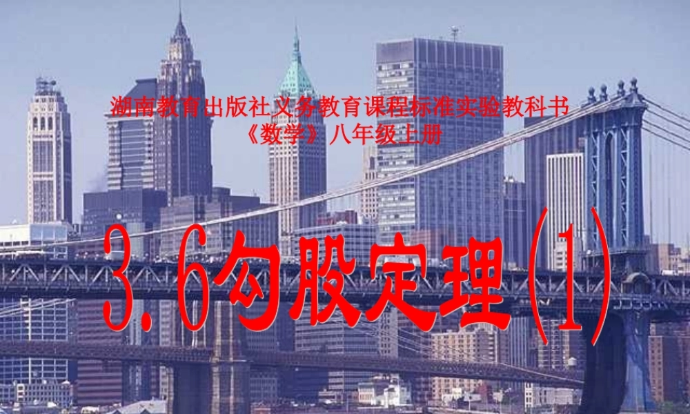 八年级数学勾股定理课件5华师版 课件