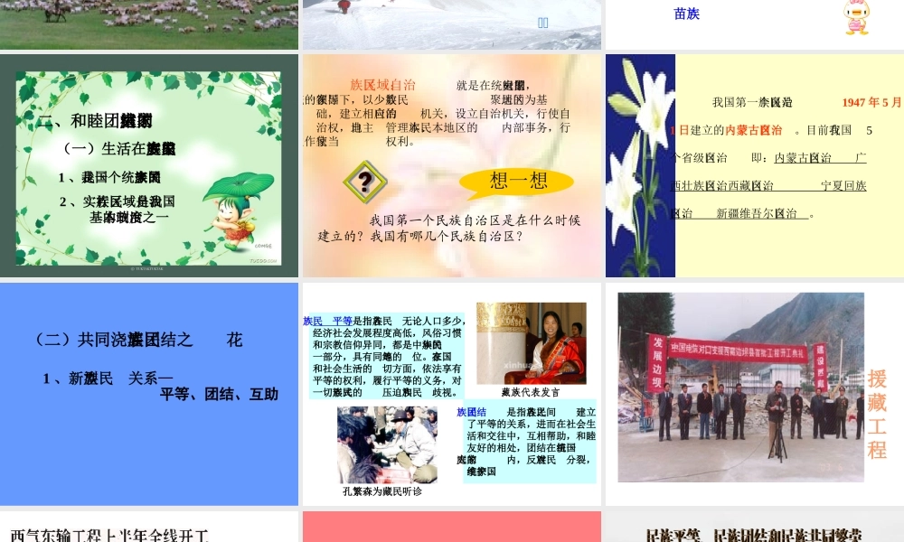 人教版初三政治和睦团结的祖国大家庭 课件